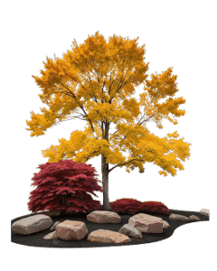 test ilustrasi landscape-4